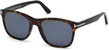 Eric Sunglasses - Shiny Dark Havana/Blue