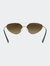 Lucky Star Sunglasses - Gold & Brown