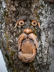 Tree Faces Decor Outdoor – Tree Hugger Yard Art Garden Decoration – Unique Bird Feeders for Outdoors and Indoors – Old Man Tree Art - Brown