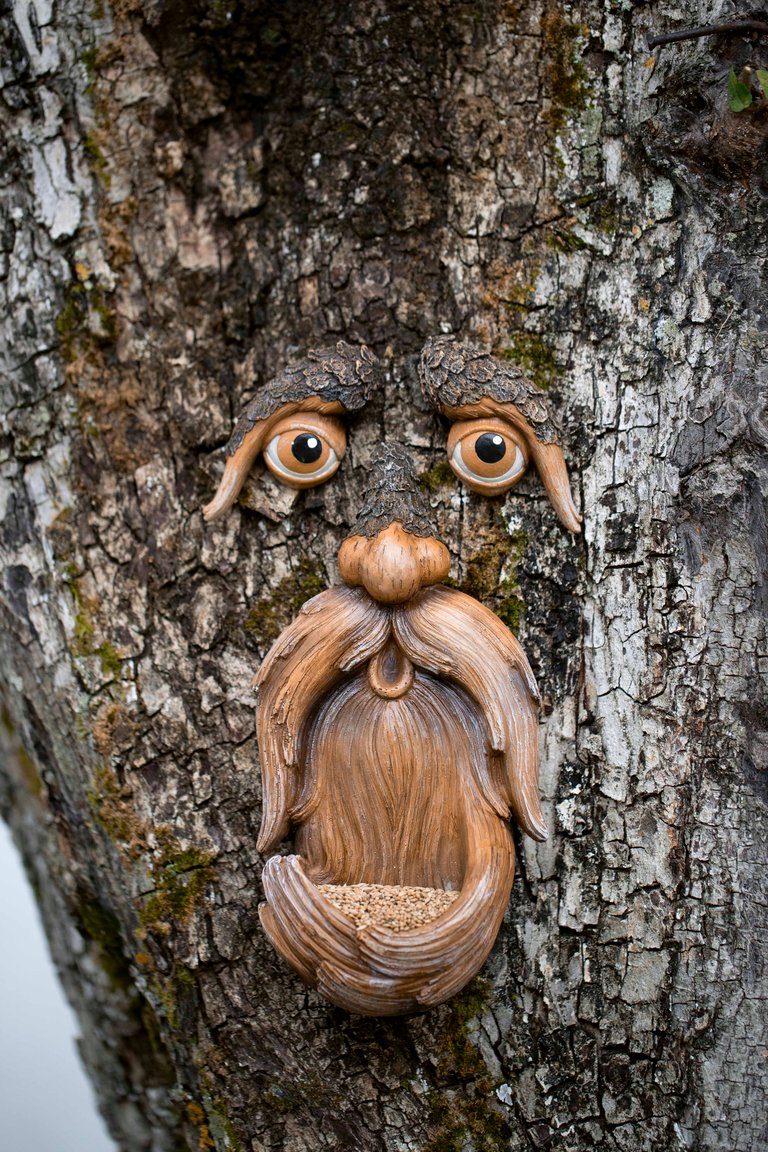 Tree Faces Decor Outdoor – Tree Hugger Yard Art Garden Decoration – Unique Bird Feeders for Outdoors and Indoors – Old Man Tree Art - Brown