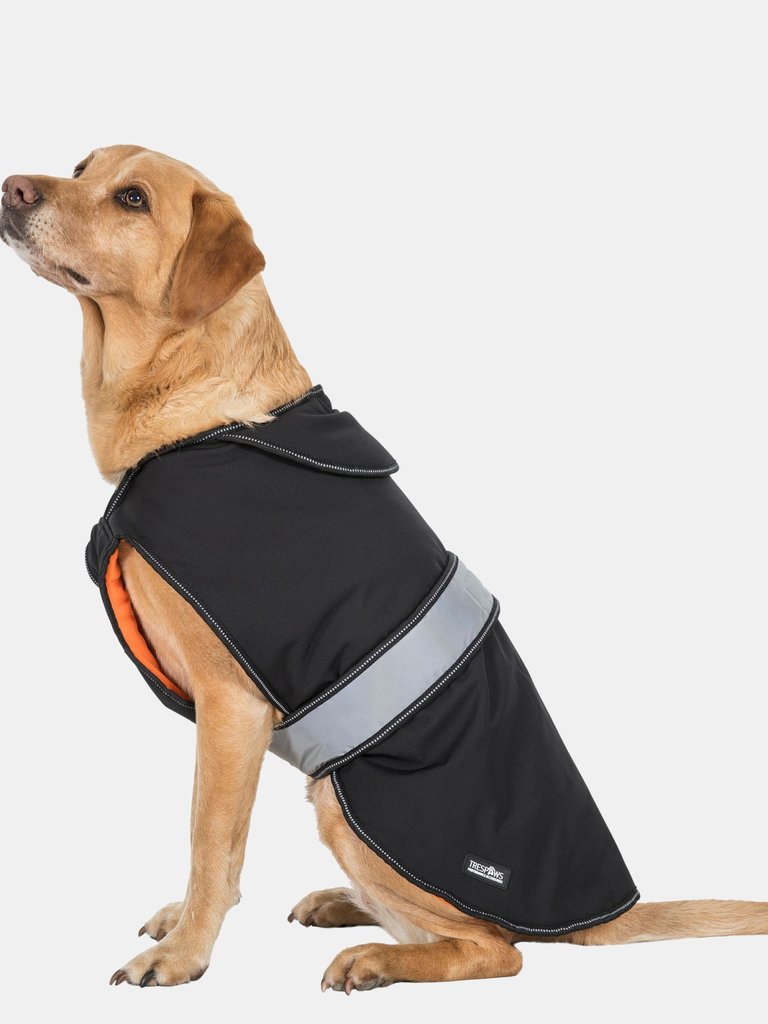 Trespass Butch Touch Fastening Softshell Dog Jacket (Black) (XS) (XS)