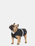 Trespass Butch Touch Fastening Softshell Dog Jacket (Black) (XS) (XS)