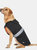 Trespass Butch Touch Fastening Softshell Dog Jacket (Black) (XXS) (XXS) - Black