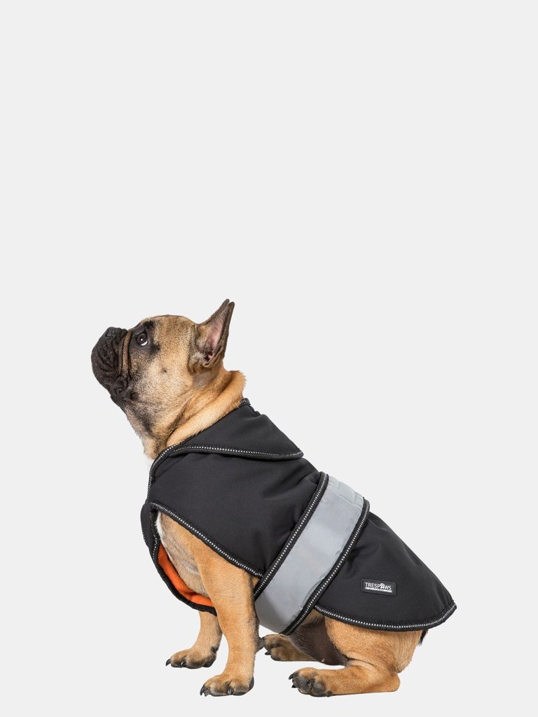 Trespass Butch Touch Fastening Softshell Dog Jacket (Black) (XXS) (XXS)