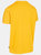 Trespass Mens Bredonton T-Shirt (Maize)