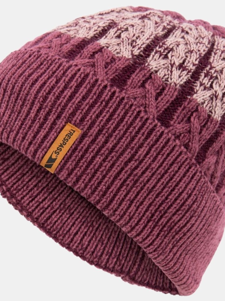 Womens/Ladies Zindy Knitted Beanie - Fig - Fig