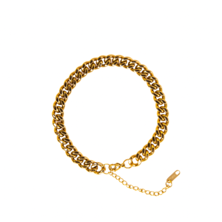 Wild Anklet - 18k Gold Plated