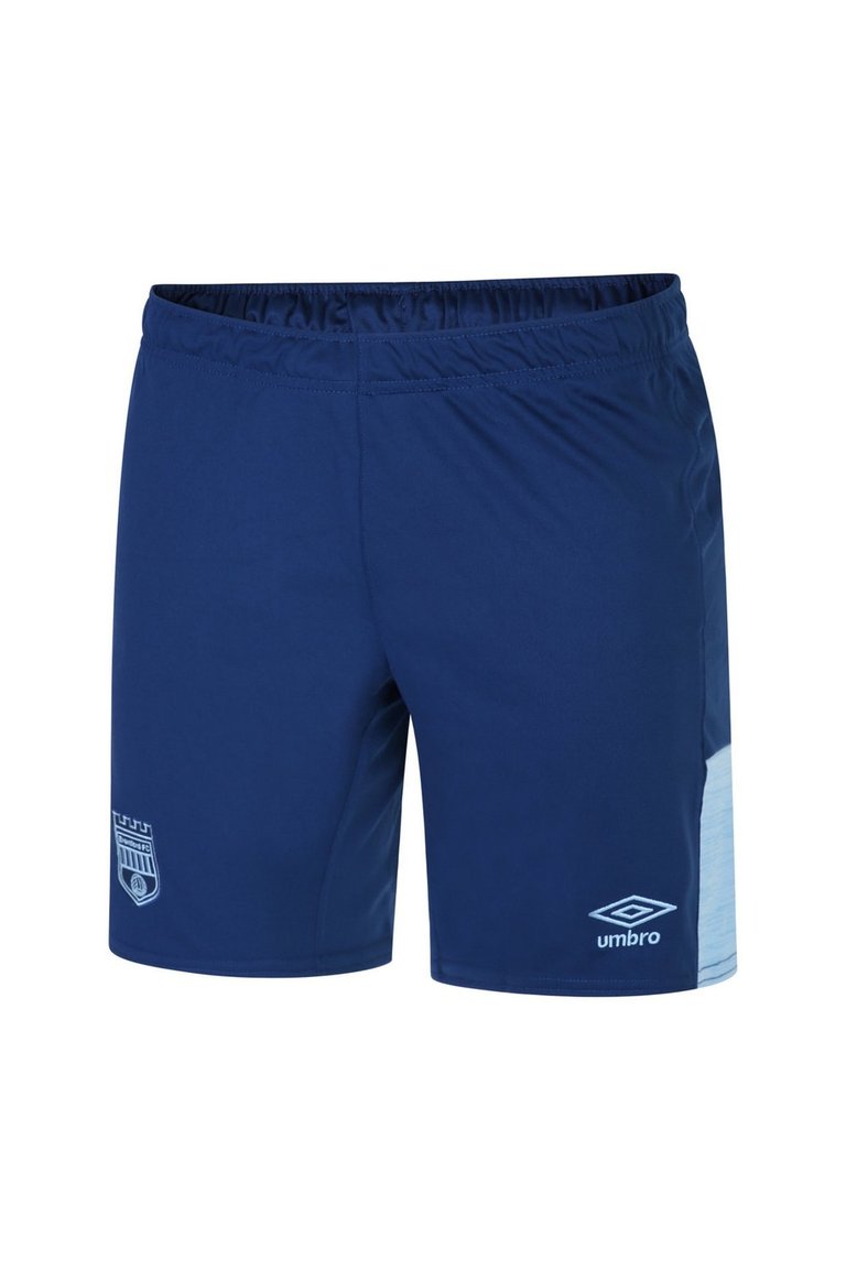 Brentford FC Mens 22/24 Shorts - Blue