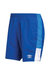 Mens Training Shorts - Royal Blue/French Blue/White