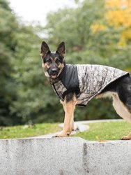 US Army Dog Jacket
