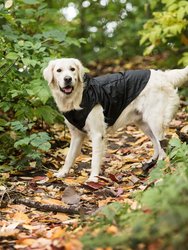 US Army Packable Dog Raincoat