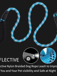 5 Ft Thick Highly Reflective Dog Leash- Blue