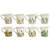 Wildlife Assorted Mugs - Set Of 8