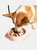 Multifunctional Dog Cat Feeders Food And Dog feeder Bowl Combo Pack