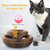 Perfect Gift Magic Organ Cat Claw Board Foldable Cat Scratch Board Interactive Scratcher Cat Toy With Bell