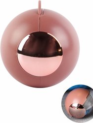 Portable Dustproof Pet Clothes Hair Remover Winter Reusable Washable Clean Tool Sticky Roller Ball