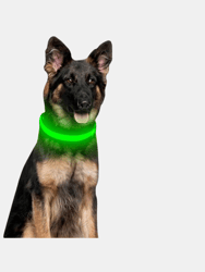 Reflective LED Light Puppy Collar Rechargeable Waterproof Glow In The Dark Dog Collars