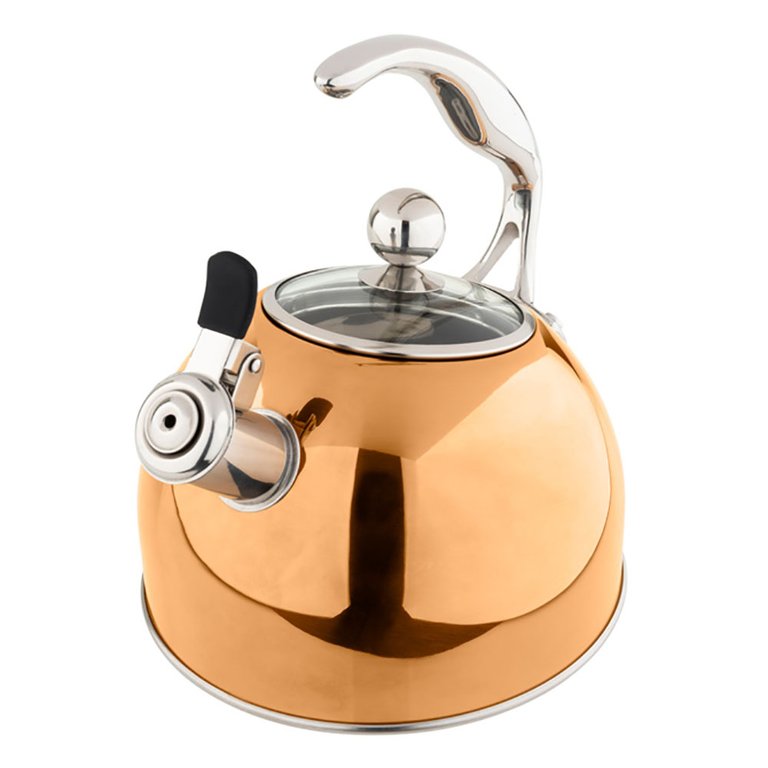 2.6-Quart Stainless Steel Tea Kettle