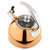 2.6-Quart Stainless Steel Tea Kettle