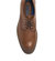 Men's Lyre Derby Shoes In Cognac