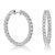 4 Cttw Lab Grown Diamond Hoop Earrings 14K White Gold Round Prong Set Inside Out 1.25" - Silver