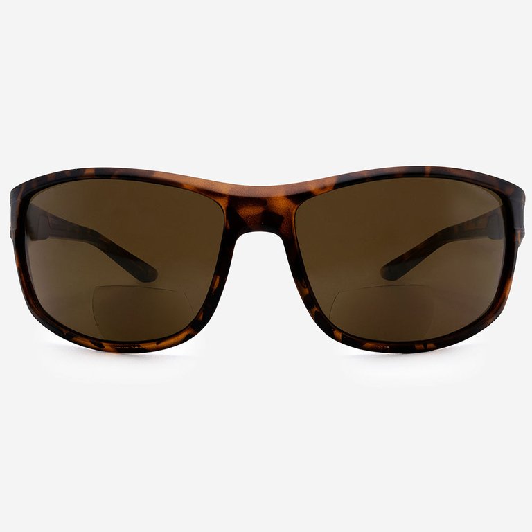 Bari Bifocal Sunglasses - Tortoise