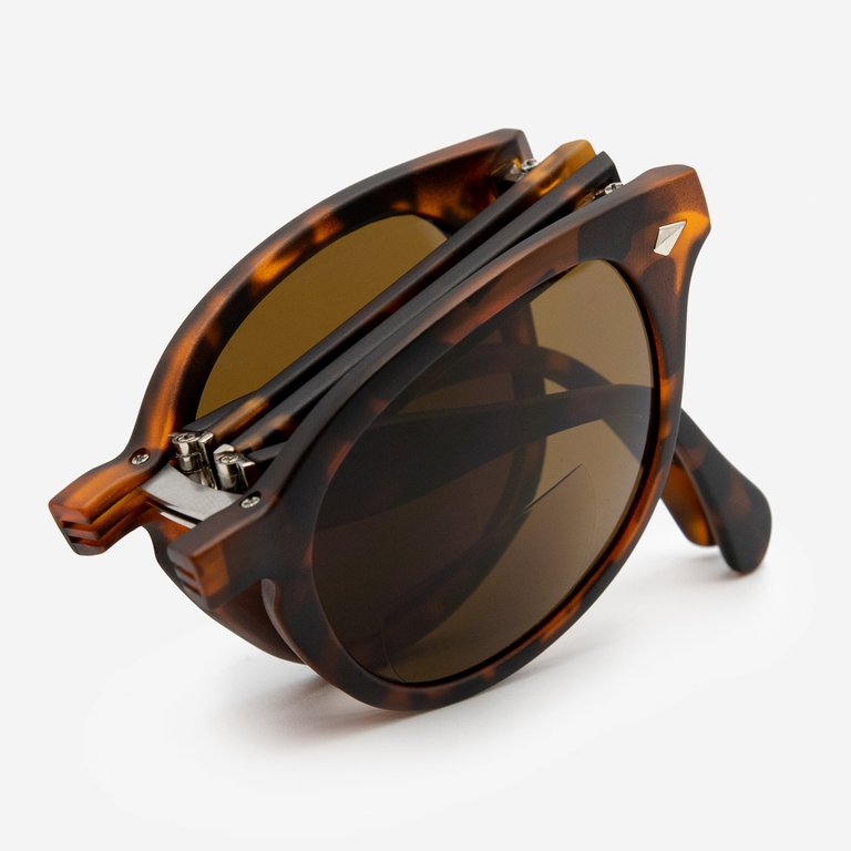 Fano Sunglasses - Tortoise