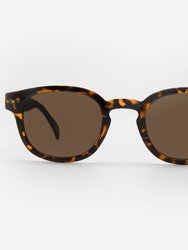 Lucca Sunglasses - Tortoise