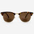 Tivoli Bifocals Sunglasses - Tortoise