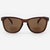 Turin Bifocals Sunglasses - Brown