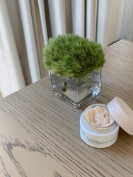 Purifying Transformation Creme