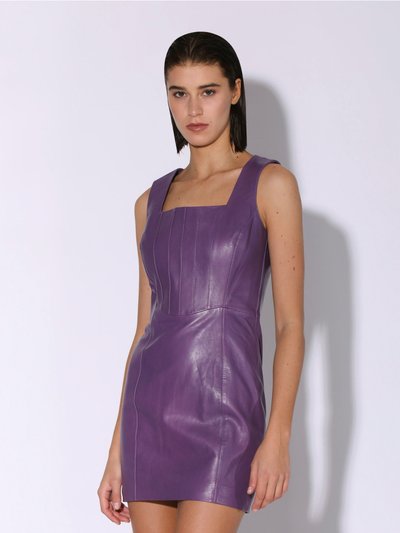 Walter Baker Libra Dress product