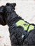 Weatherbeeta Anti-Pull Dog Harness