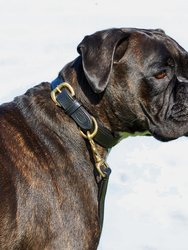 Weatherbeeta Padded Leather Dog Collar (Black) (S)