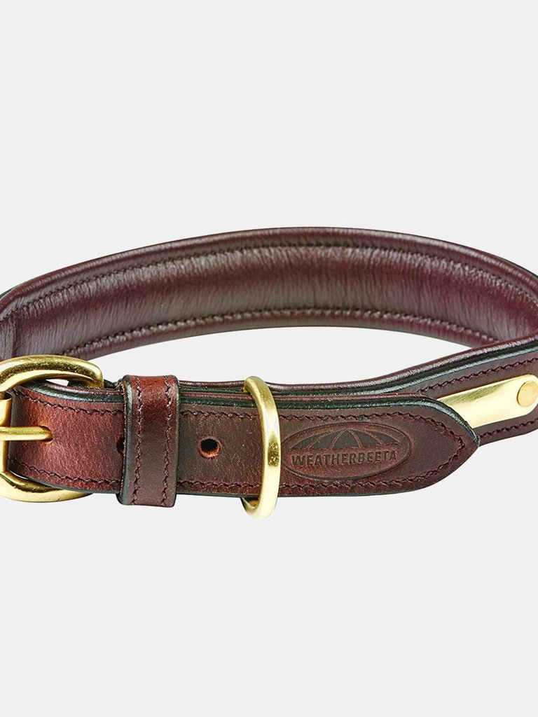 Weatherbeeta Padded Leather Dog Collar (Brown) (S) - Brown