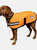 Weatherbeeta Reflective Parka 300d Dog Coat (Orange) (11.8 inches)