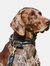 Weatherbeeta Rolled Leather Dog Collar (Black) (S)