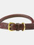 Weatherbeeta Rolled Leather Dog Collar (Brown) (XXL) - Brown