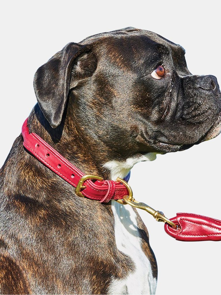 Weatherbeeta Rolled Leather Dog Collar (Maroon) (S)