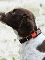 Weatherbeeta Therapy-Tec Dog Collar