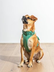 Comfort Dog Harness