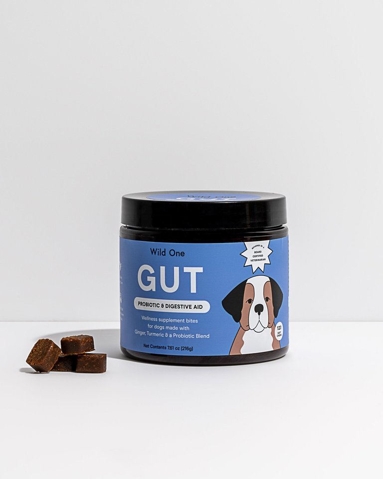 GUT Supplement