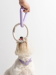 Triangle Tug Dog Toy