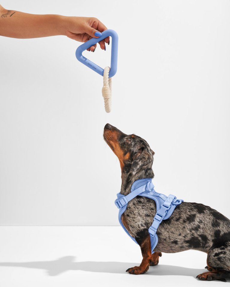 Triangle Tug Dog Toy