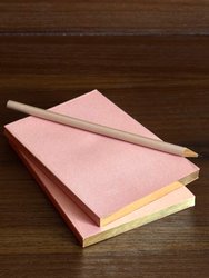 Blush Jotters With Gold Edging (Set of 2)