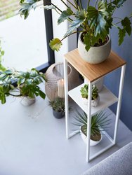 Two-Tier Display & Storage Shelf (31.5" H) - Steel + Wood