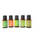 Gift Set-5 Pack - Essential Oils - (Eucalyptus, Lemongrass, Orange, Peppermint, Tea Tree)
